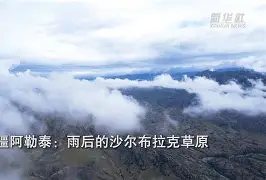 沙尔克再次遭遇挑战，备战全力迎战(沙尔克再次遭遇挑战,备战全力迎战什么意思)