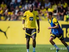 弗赖堡球队实力不俗，惯常在主场获得胜利的简单介绍