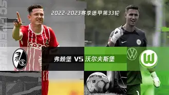 沃尔夫斯堡狼队表现出色,取得胜利 沃尔夫斯堡狼队表现出色,取得胜利